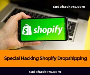Read more about the article Special Hacking Shopify Dropshipping by Hayden Bowles Video Tutorial
