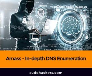 Read more about the article Amass – In-depth DNS Enumeration And Network Mapping From Russian Carders