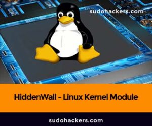 Read more about the article HiddenWall – Linux Kernel Module Generator From Russian Carders