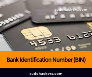 Read more about the article Every Thing You Need To Know About Bank identification Number(BIN)