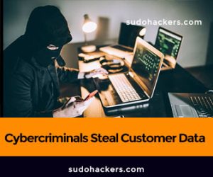 Read more about the article How Do Cybercriminals Steal Customer Data? – Sudohackers
