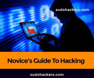 Read more about the article A Novice’s Guide To Hacking From Sudohackers