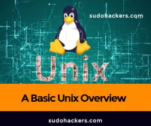Read more about the article A Basic UNIX Overview From Sudohackers.