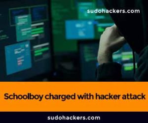 Read more about the article Schoolboy charged with hacker attack on Ministry of Education website