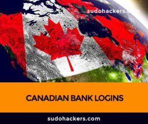 Read more about the article USES OF CANADIAN BANK LOGINS – FULL NOODS GUIDE 2022