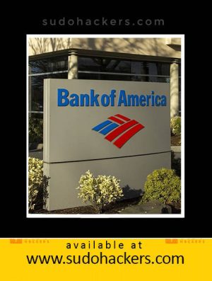 Bank of America USA Logs