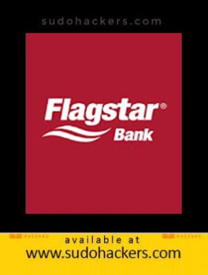 FLAGSTAR BANK USA LOGS